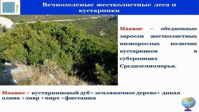 Тема 30. Природные зоны Евразии. Охрана природы
