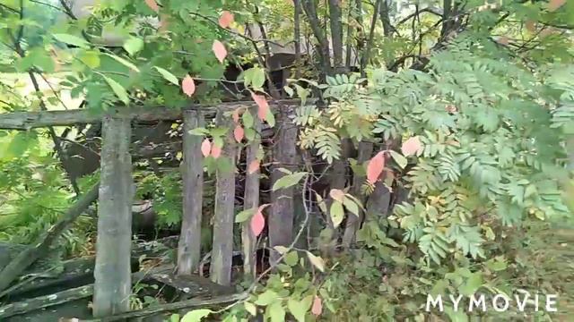 Брошенная техника в деревне