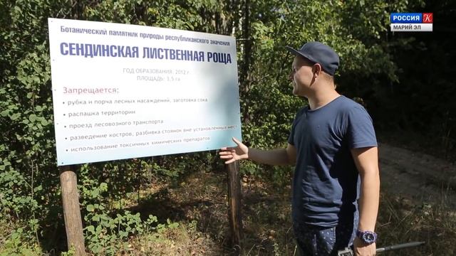 Пешком по республике, 8 серия "Вековые лиственницы"