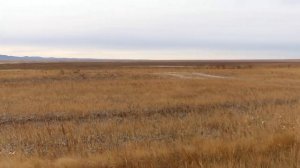 Ковылинские степи. Забайкальский край. Заброшенная дорога на Кондуй и Цаган Олуй.