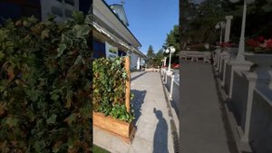 Усадьба Сосновый Бор Волгоград будет снесена по решению суда