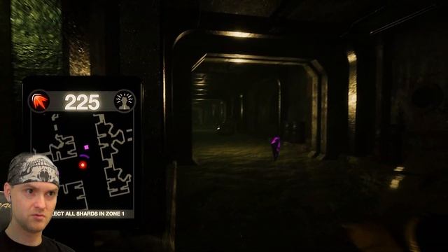 ТАНЕЦ МАЛЕНЬКИХ УТЯТ ► Dark Deception | Chapter 3 | Утки Прохождение смотреть онлайн