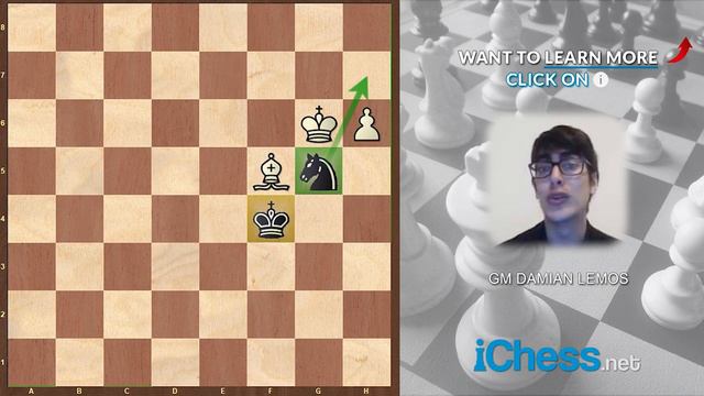 What is Zugzwang In Chess? 🎓 Beginner Chess Lessons - GM Damian Lemos смотреть онлайн