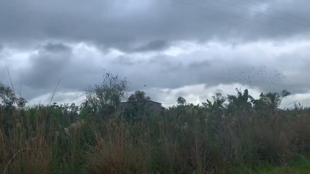 Решила устроить себе Праздник. #vlog #paraguy смотреть онлайн