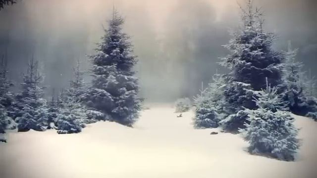 мы родились в сибири//коротко о событиях)//обзор канала смотреть онлайн