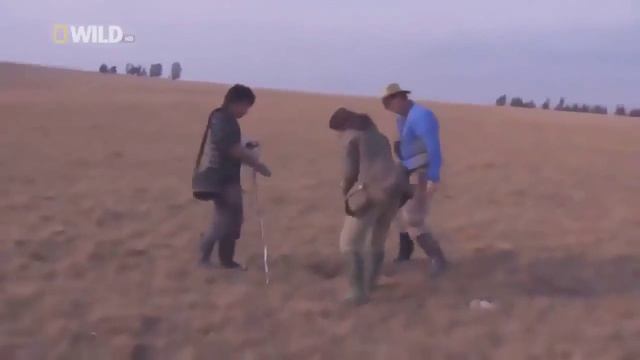Дикие животные Африки