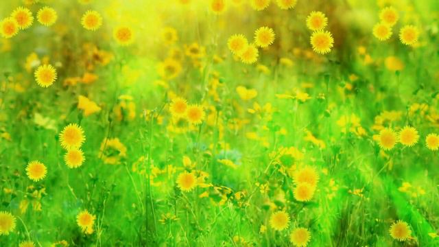 СОНЕТ смотреть онлайн