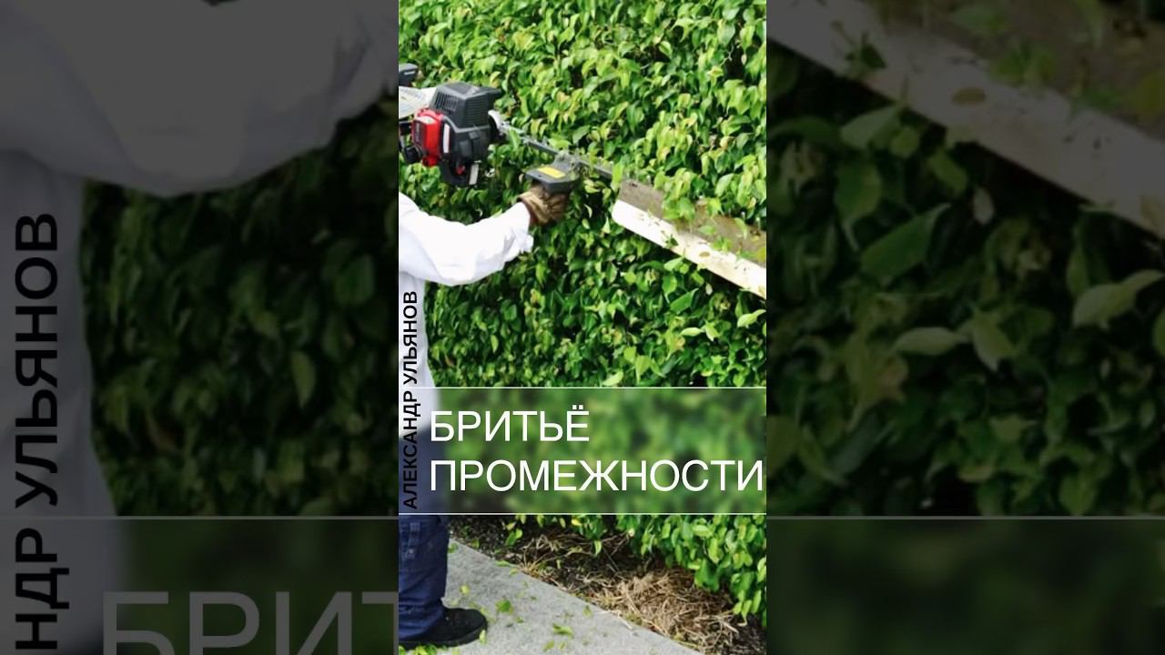 Нужно ли брить промежность перед визитом к врачу? #проктолог #shorts #нейросеть #бритье #эпиляция смотреть онлайн