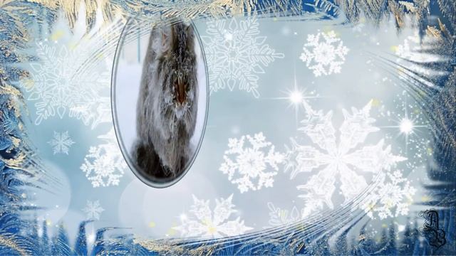 Праздник Крещения Господня. Красивое поздравление с Крещением смотреть онлайн