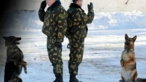 Памяти Пограничных Псов