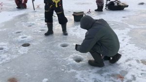 Зарыбление форели,ловля форели,безлимит РК «Фишка» Петряиха