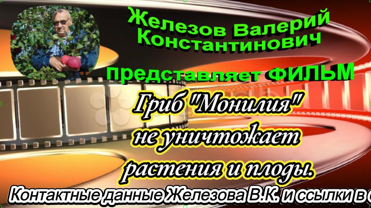 Железов утверждает - гриб Монилия не уничтожает растения и плоды.
