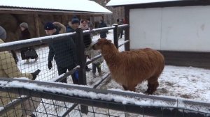 В некотором царстве - развлекательный комплекс в Рязани приятное место для отдыха