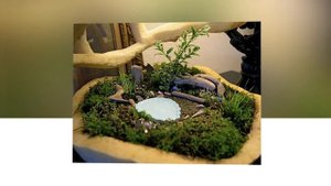 Мини сад в горшке, идеи миниатюрных садов