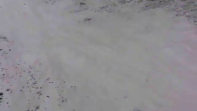 Maiden flight of my Protocol Director R/C Camera Drone 04-01 (480p) (1) смотреть онлайн