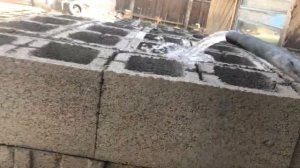 Созревание пескоблока в домашних условиях