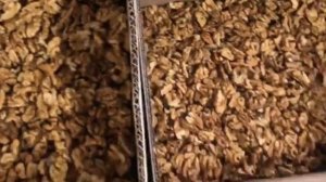 Сколько надо деревьев грецкого ореха чтобы собрать тонну урожая? Знает Walnuts Broker