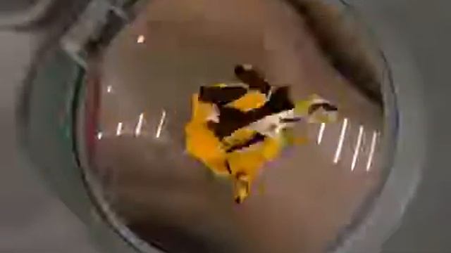 Лазерная косметология. Клиника Виктории Головановой смотреть онлайн