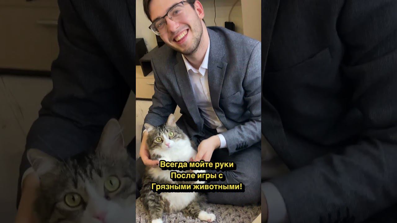 Мойте руки! #shorts смотреть онлайн