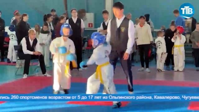 ОТКРЫТЫЙ ТУРНИР ТХЭКВОНДО В ФОКИНО смотреть онлайн