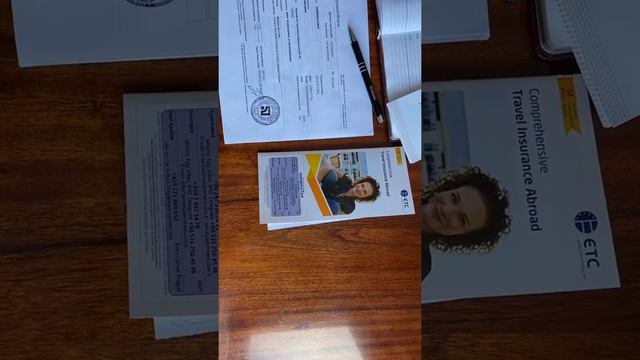 СТРАХОВОЙ ПОЛИС ( СТРАХОВКА ДЛЯ ПОЛЬШИ В 2021 году ) для ВИЗЫ в ПОЛЬШУ, для пересечения границы !