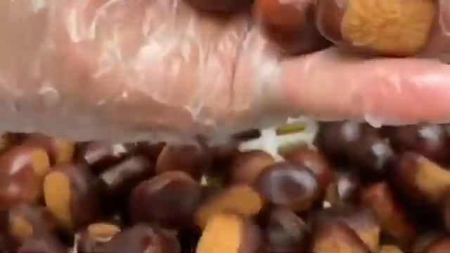 Каштаны как сварить ( Şabalıd ) смотреть онлайн