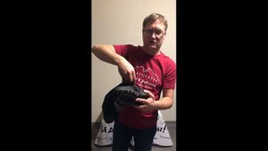 Гамаши: конструктивные особенности разных моделей, советы по использованию