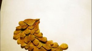 Жар птица. Поделки на тему осень своими руками. Diy