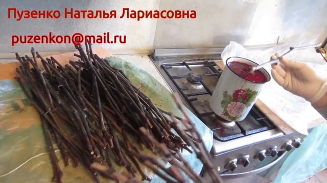 Настольная прививка винограда, привитые саженцы винограда, зимняя прививка, станок Оmega Star смотреть онлайн