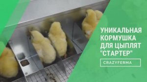 Впервые в России кормушка для цыплят с разделителями! Защита корма от разброса и бактерий!