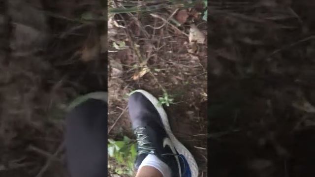 Bounty hunter junior смотреть онлайн