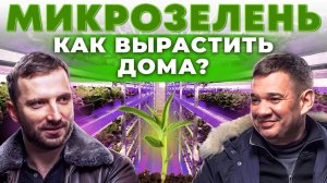 Как открыть ферму микрозелени? Кому продать урожай? Ситиферма на гидропонике | Андрей Даниленко