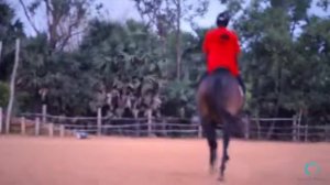 Auroville Retreat - Horse Riding