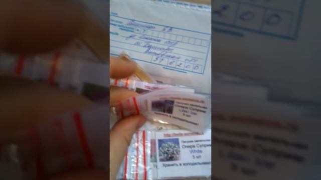 Профессиональные семена петунии почтой. Интернет магазин Белла.