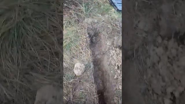 Капаю траншею под кабель. 1 день. смотреть онлайн