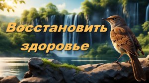 Целебные Звуки Природы и Пение Соловья. Восстановить Здоровье.💊➡️🍀.