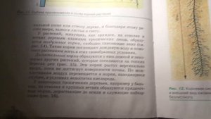 Биология 6 класс § 4 (Автор: Пасечник В.В.) Условия произрастания и видоизменения корней