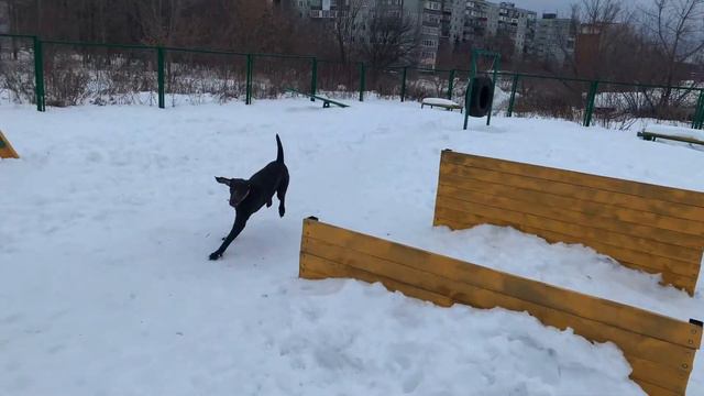 𝐴𝑟𝑖𝑘𝑎 𝐻𝑢𝑛𝑡𝑒𝑟| КАК ПРОХОДИТ НАШ ОБЫЧНЫЙ ДЕНЬ| смотреть онлайн