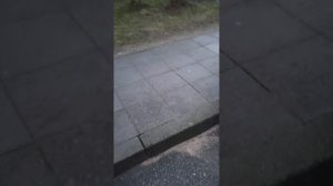 Кратенький обзор на Пежо 306 покупателю