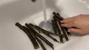 САМОДЕЛЬНЫЕ СУШЕНЫЕ ВЕТКИ ДЛЯ КРЫС/СУШИМ ВЕТКИ ДЛЯ КРЫС!??