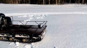 Паксус 600 тайга ездит по снегу