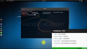 003 Горячие клавиши в терминале Kali Linux