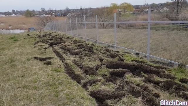 Новый забор. Культивация участка. Уборка. #ИзГерманиивРоссию
