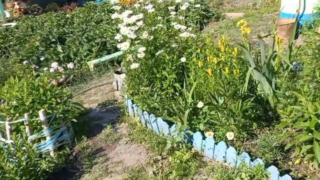 Начала делать заморозки на зиму /Дачный денечек .