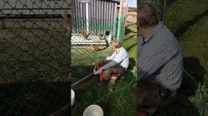 В деревне Архангельская область...