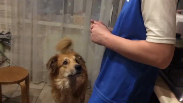 У меня сотрясение.Массаж на дому.(10.21г) смотреть онлайн