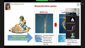 Elena K. Khlestkina - Genetic resources and genetic technologies for food security