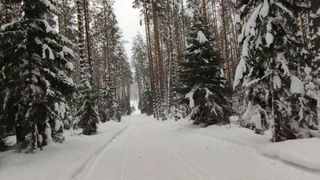 "Земляничная поляна" - еще одно место для активного жителя Чайковского! Приглашаю в лес - на лыжню!