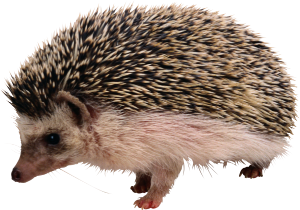 аутро