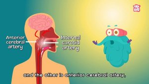 Why Do We Get Brain Freeze? | The Dr. Binocs Show | Best Learning Videos For Kids | Peekaboo Kidz